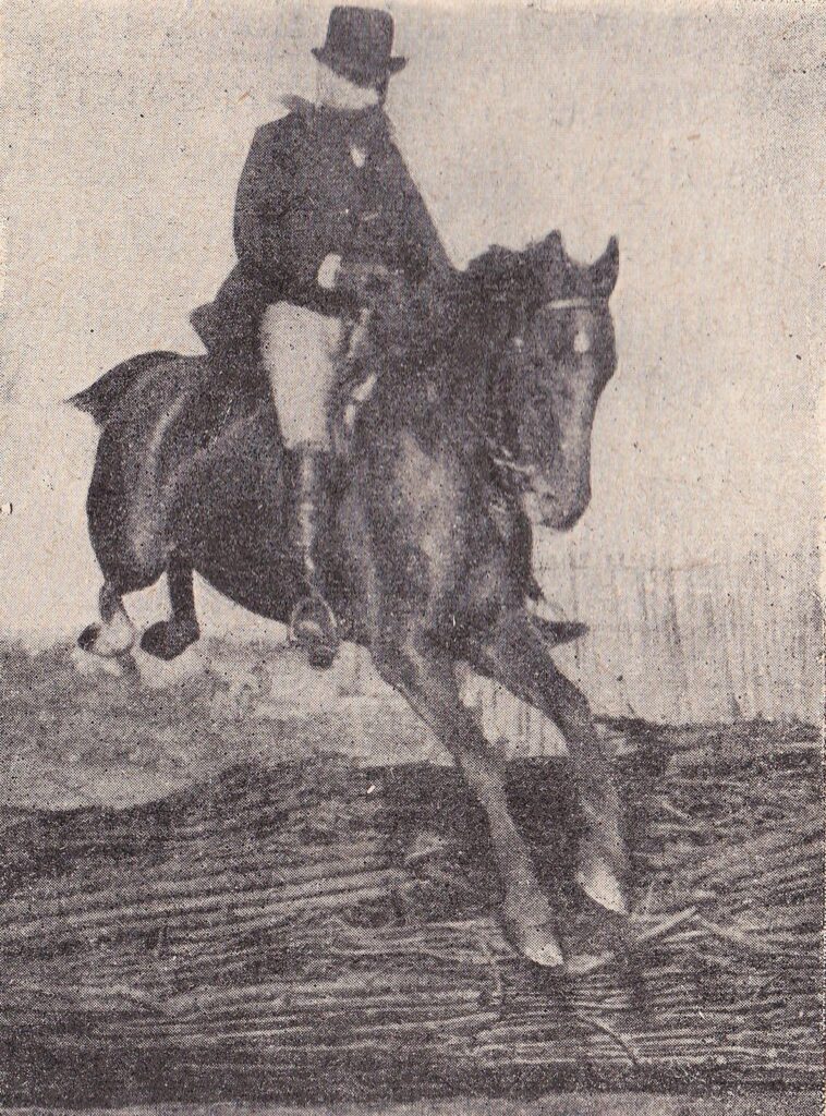 Gustave Le Bon horse IV