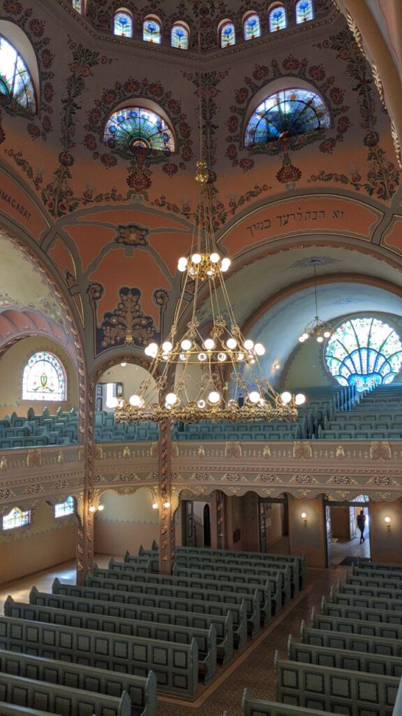 photo 2025 05 13 10 28 59