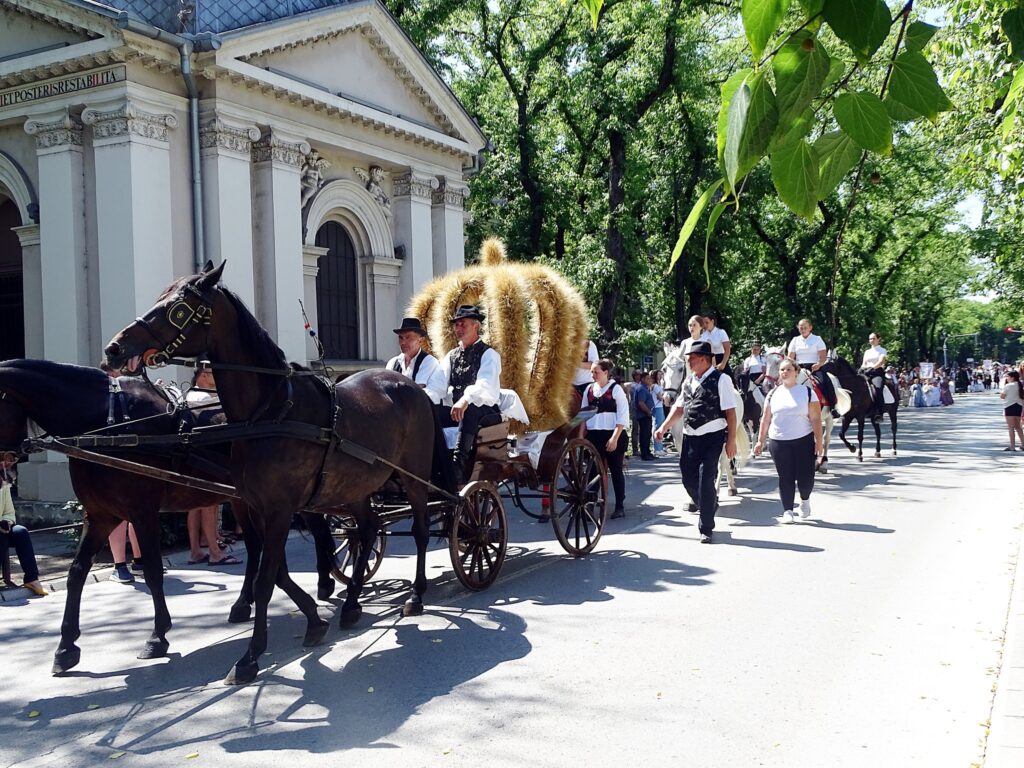 514396784 23982421801453731 8650346015911520284 n