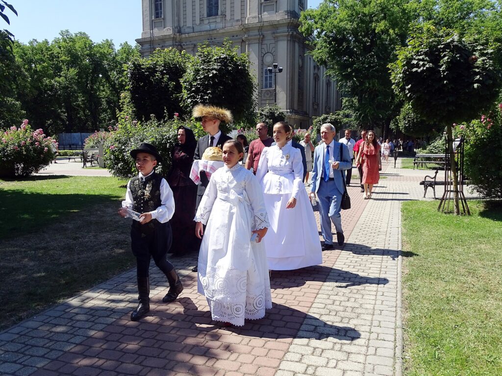 529344288 23982419038120674 6475938502327703569 n