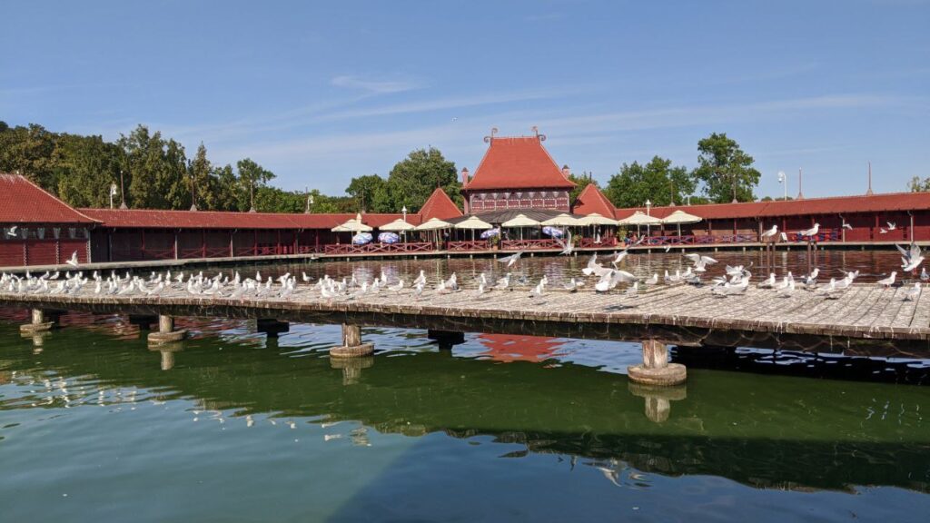 photo 2026 03 05 15 47 26