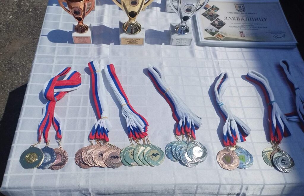 Кркобабић: Даровитост младих људи краси села Србије 12 Babusnica foto Natalija Nikolic