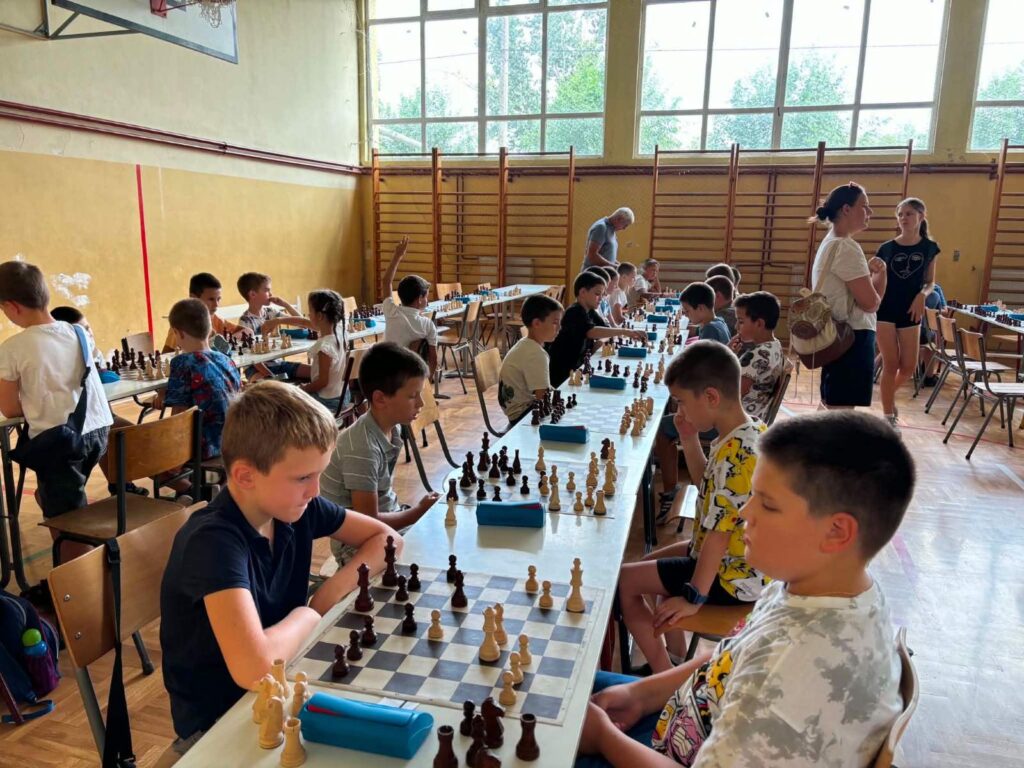 Кркобабић: Даровитост младих људи краси села Србије 9 Senta foto Imre Figura