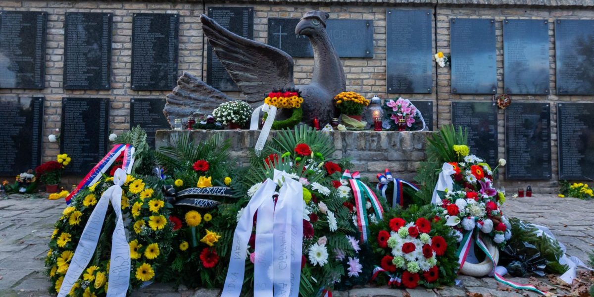 02-11-2025-PTICA-99-1536x1024 (1)