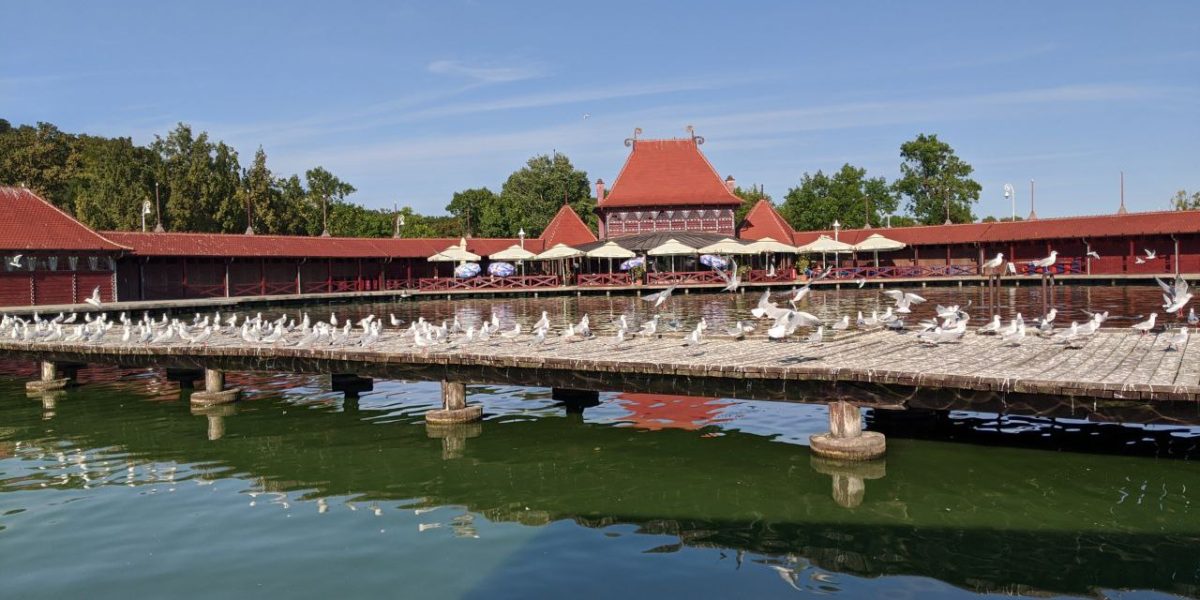 photo_2025-06-22_20-37-54
