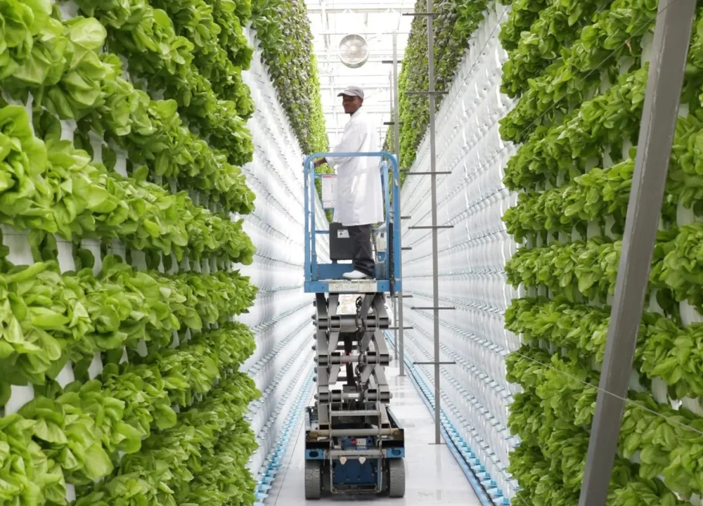 vertical-farming