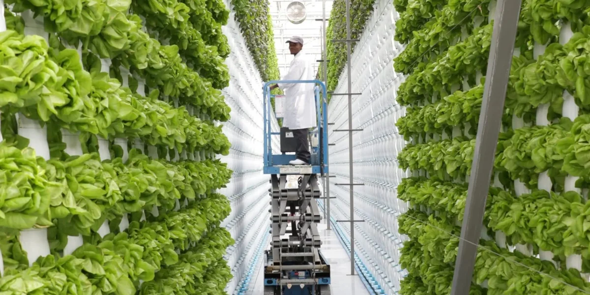 vertical-farming